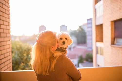 Happy dog with owner in Mississippi